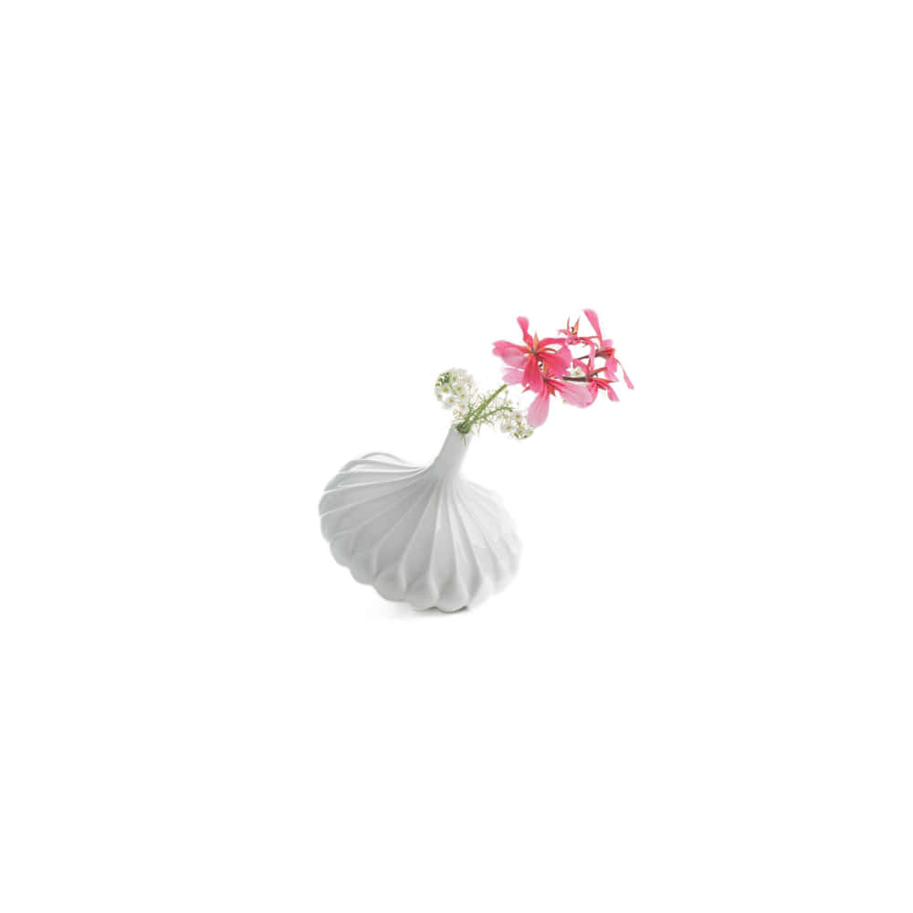 [3월초 입고예정] Piao single flower vase